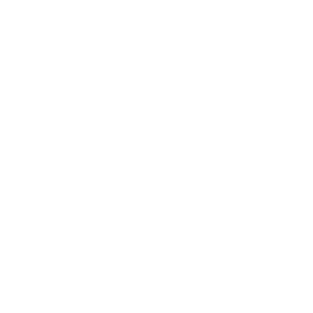 Black Diamond Equity Partners